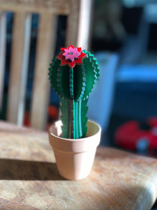 Wood Cactus / Succulent Plant